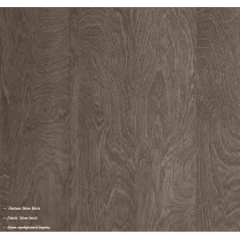 Покрытие Серебристая берёза с глянцем Кровать Legno Platinum Camelgroup 120x200 см