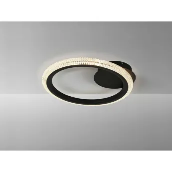 Потолочный светильник Schuller Ring, 717847